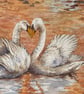 Swans in Autumn. Original watercolour by Christopher Hughes