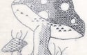 Embroidery Kits