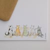 Cat Line-up Postcards (pack of 6)