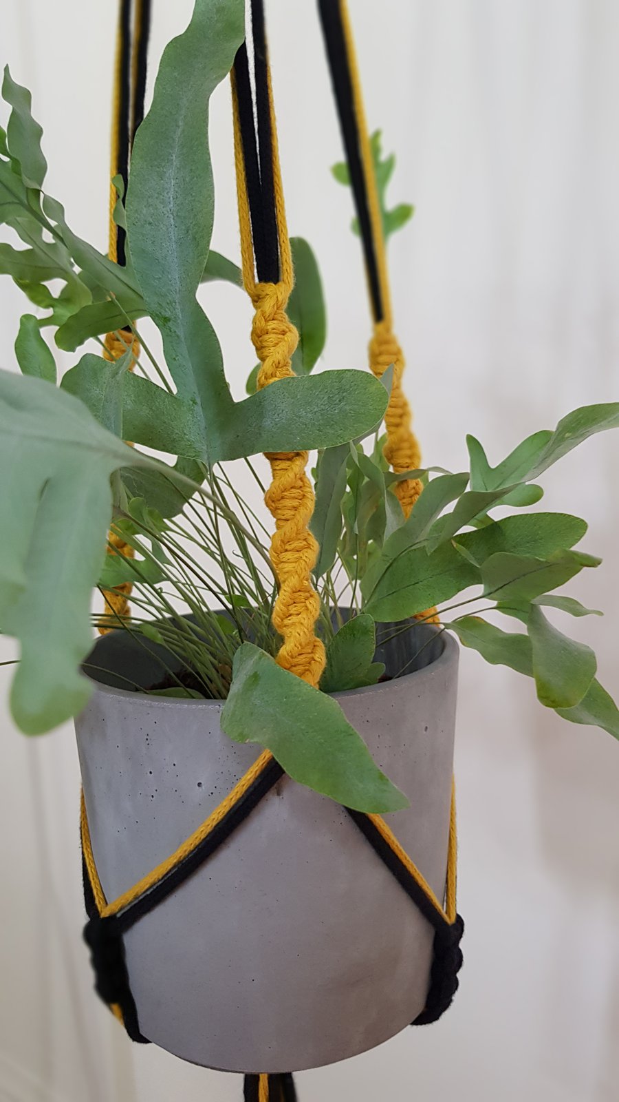Macrame Plant Hanger Black & Yellow Mediun size - Handmade
