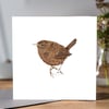 Jenny Wren single greeting card