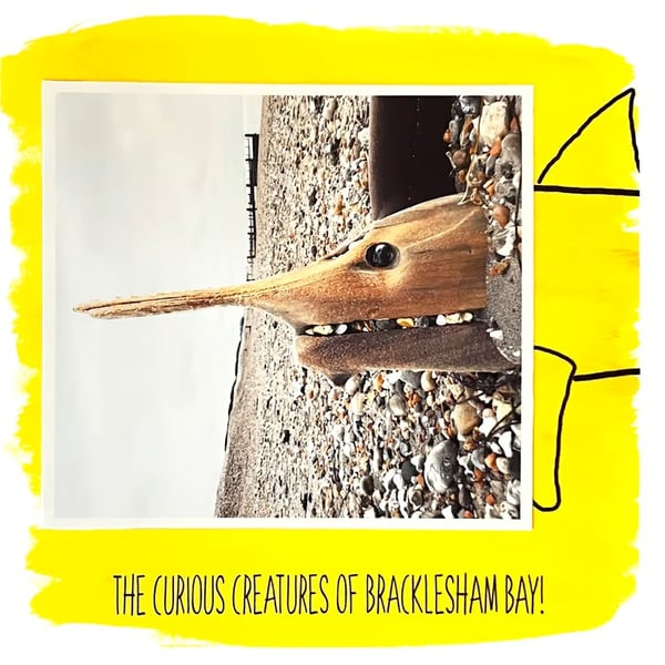 Shark; greeting card, blank inside, printed on card and photographic paper