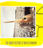 Shark; greeting card, blank inside, printed on card and photographic paper - Image 1