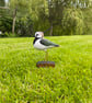 Lapwing (Peesie) - Image 8