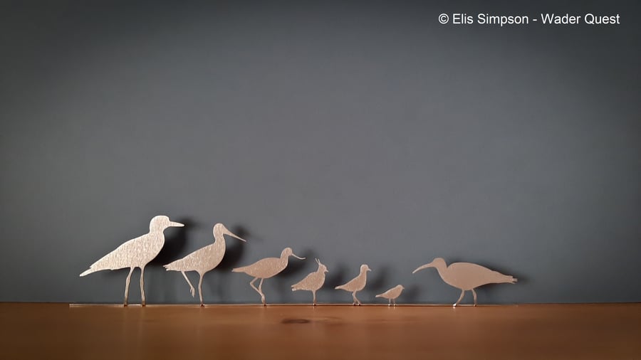 Wading Birds Mantelpiece Ornament, Shelf sitter, Waders Need Love Too Decoration