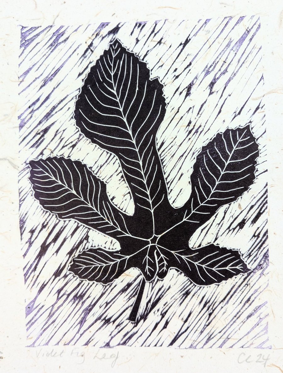 Violet Fig Leaf