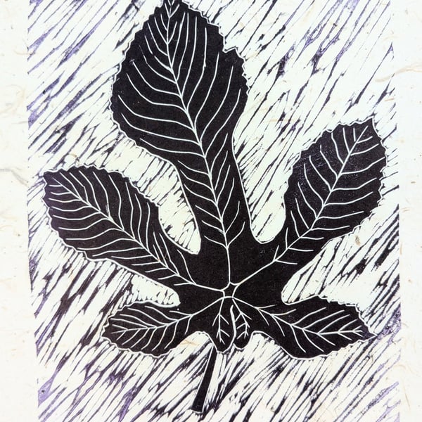 Violet Fig Leaf