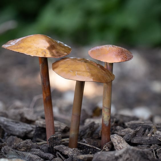 Set of 3 Copper Musrooms-Fungi-Toadstools
