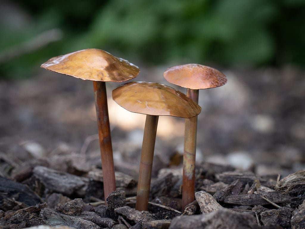 Set of 3 Copper Musrooms-Fungi-Toadstools