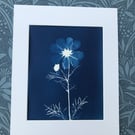 Original Art, Cosmos Flower, October Birthday gift