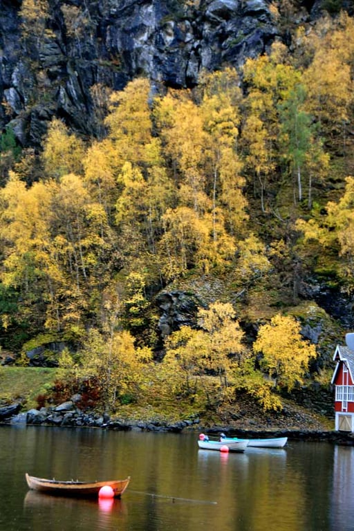 Flam Aurlandsfjord Norway Scandinavia 12"x18" Print