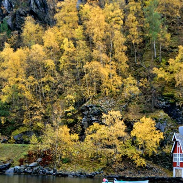 Flam Aurlandsfjord Norway Scandinavia 12"x18" Print