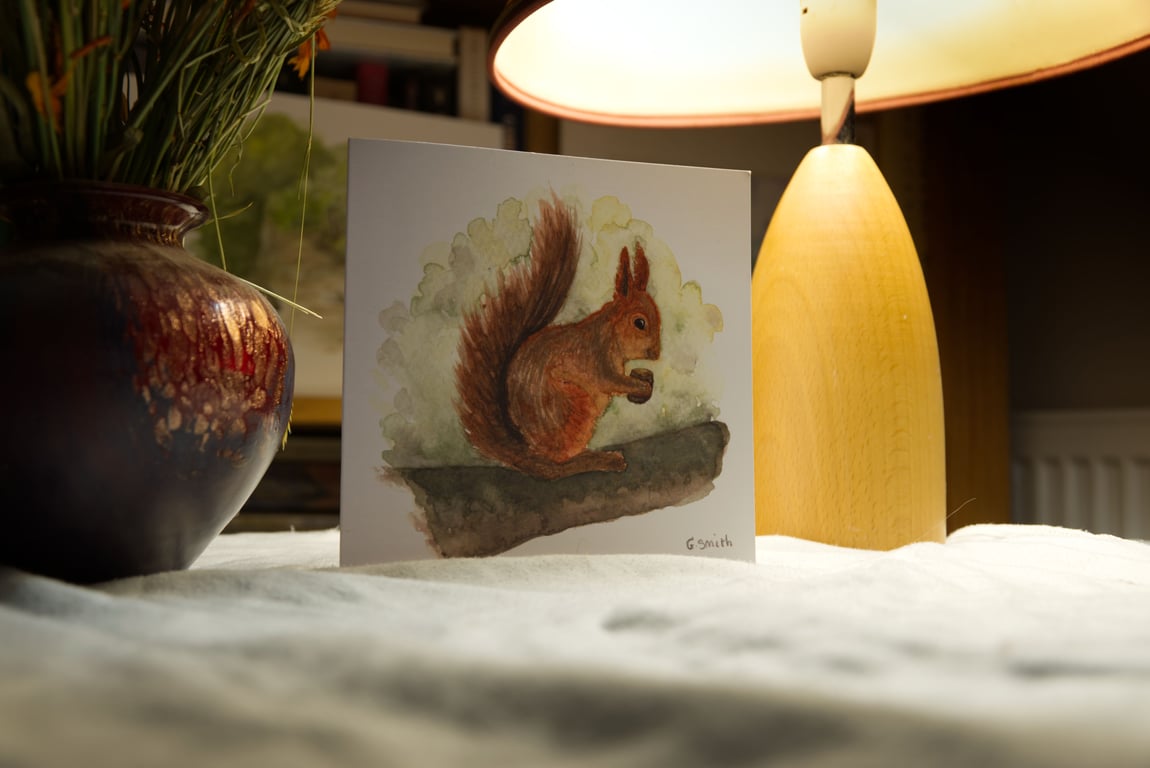 'Red Squirrel' Christmas or greeting card