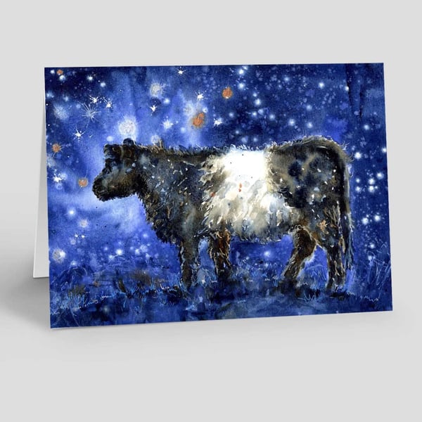 Any Occasion, Belted Galloway Blank Card.