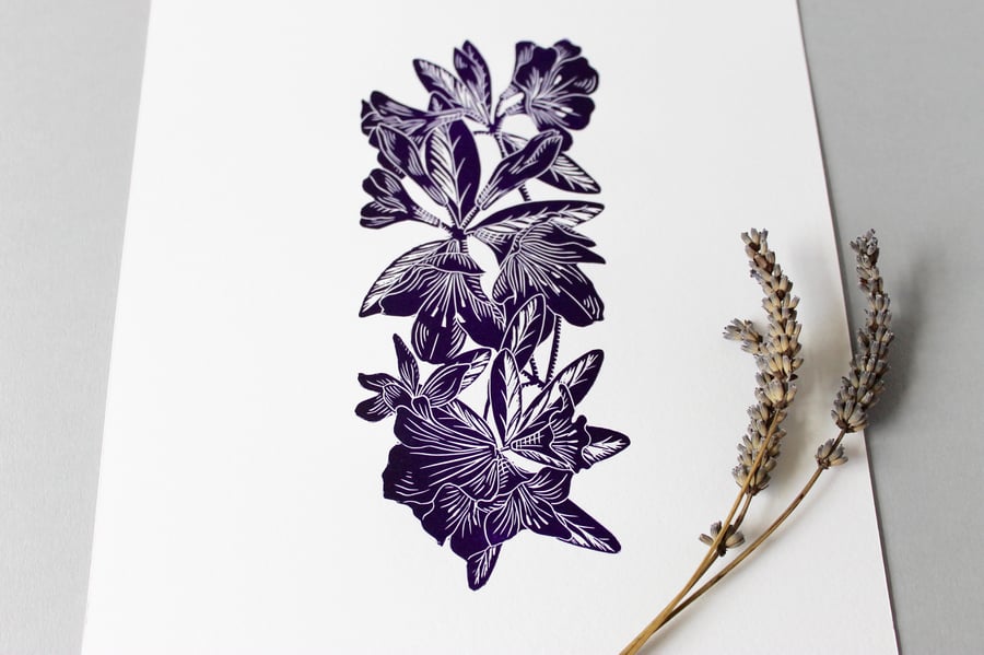 Limited Edition Rhododendron Lino print