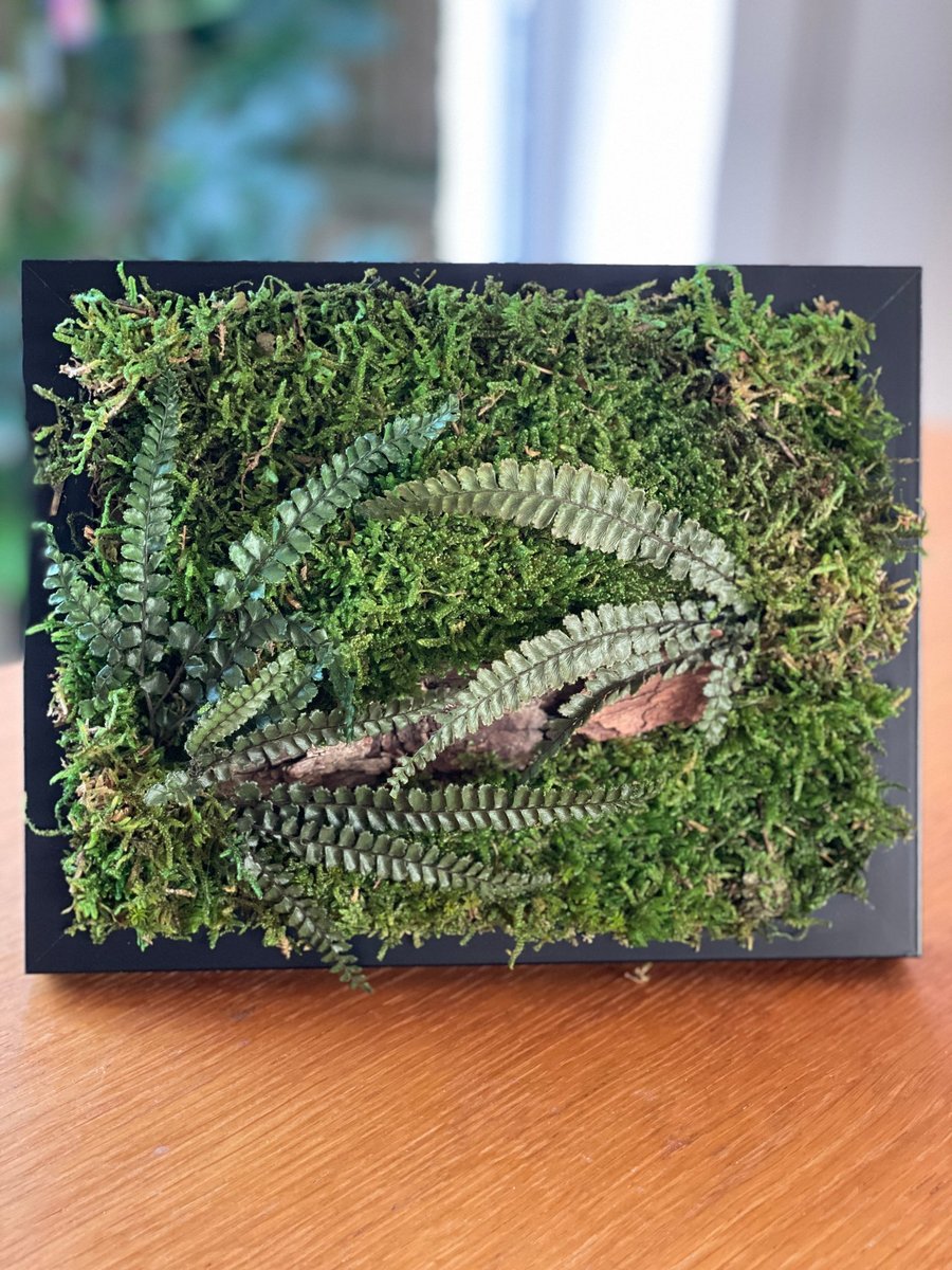 Framed Forest Vignette 