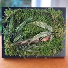 Framed Forest Vignette 