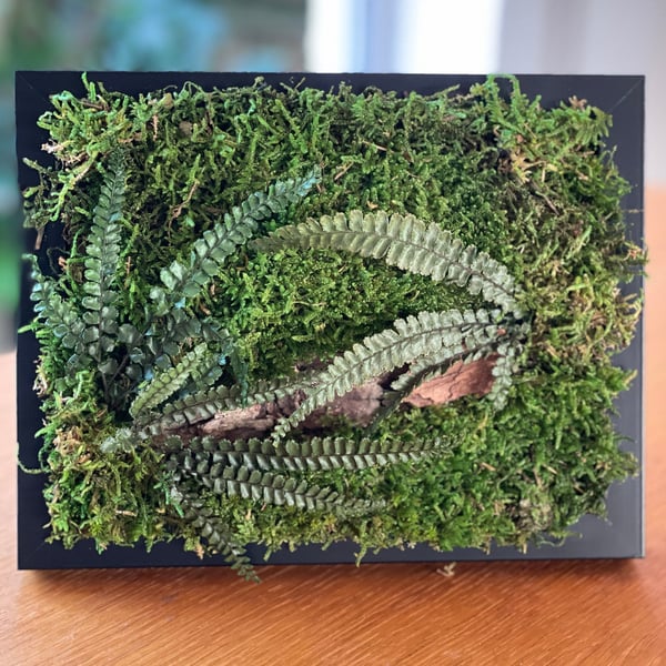 Framed Forest Vignette 