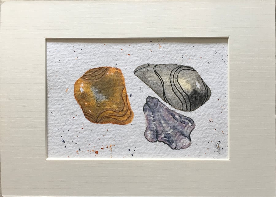 Pebbles and Shell watercolour art 