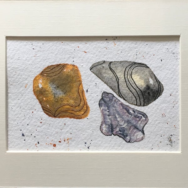 Pebbles and Shell watercolour art 