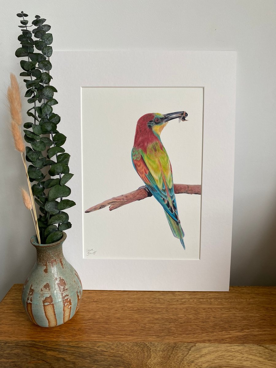 European Bee-eater Fine Art Print