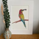 European Bee-eater Fine Art Print