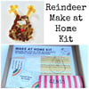 Fused Glass Reindeer Make at Home Kits, suitable for all ages