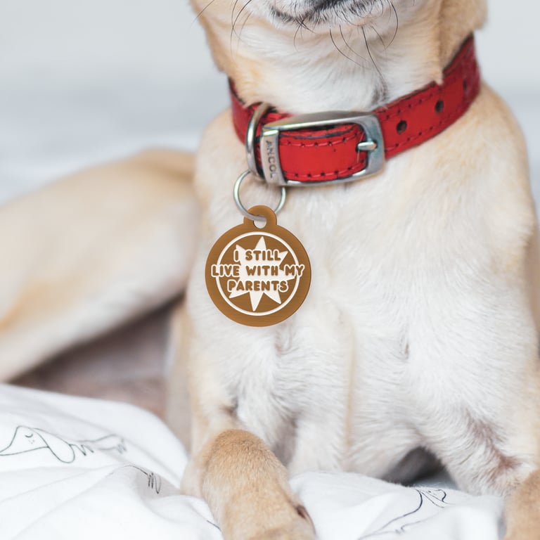 Live With My Parents - Star: Personalised Dog ID Collar Funny Custom Tag