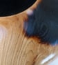 ELM HOLLOW FORM, A LARGE PIECE AT 380mm WIDE - Image 9