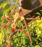 Ceramic Autumn Colours Twig Star - Image 1