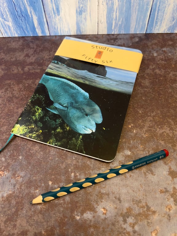Notebook, Marine themed, A5 (ish), made from up-cycled and recycled materials.
