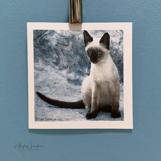 Square Blank Card - Fine Art - Greek Cat