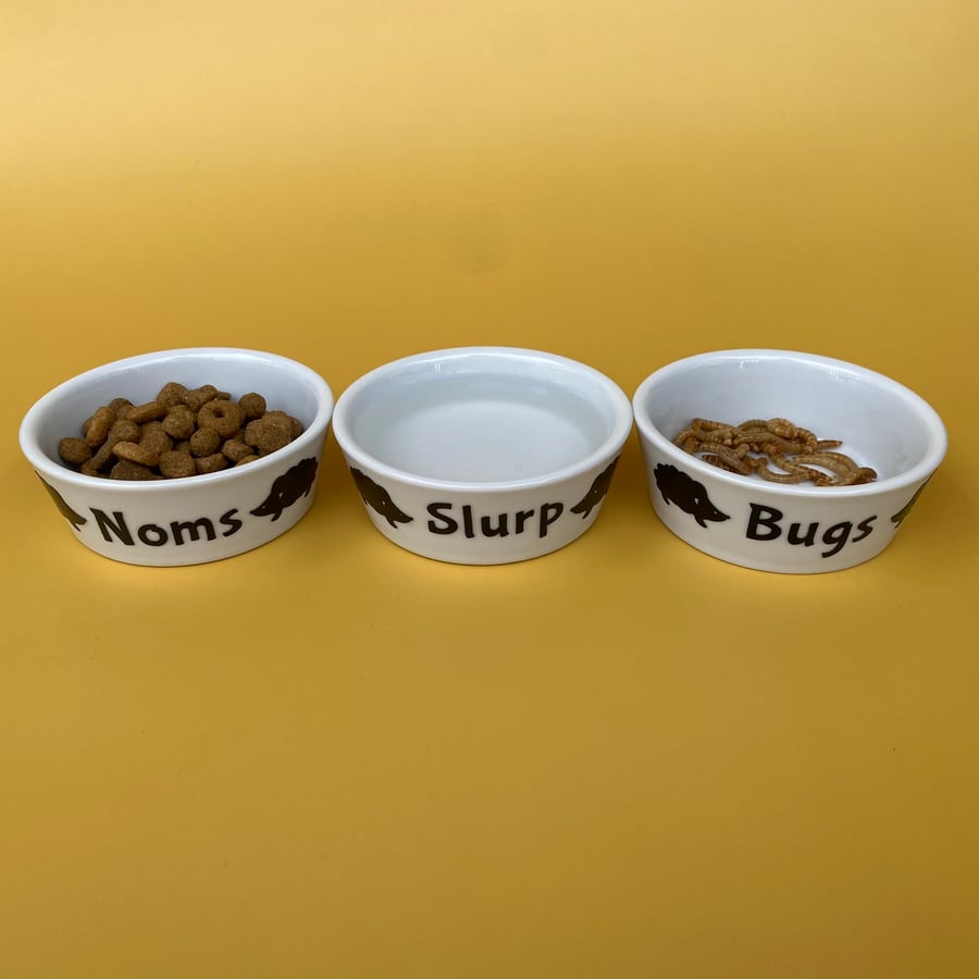 Ceramic hedgehog food and water bowls. Noms, slurp and bugs African pygmy bowls.