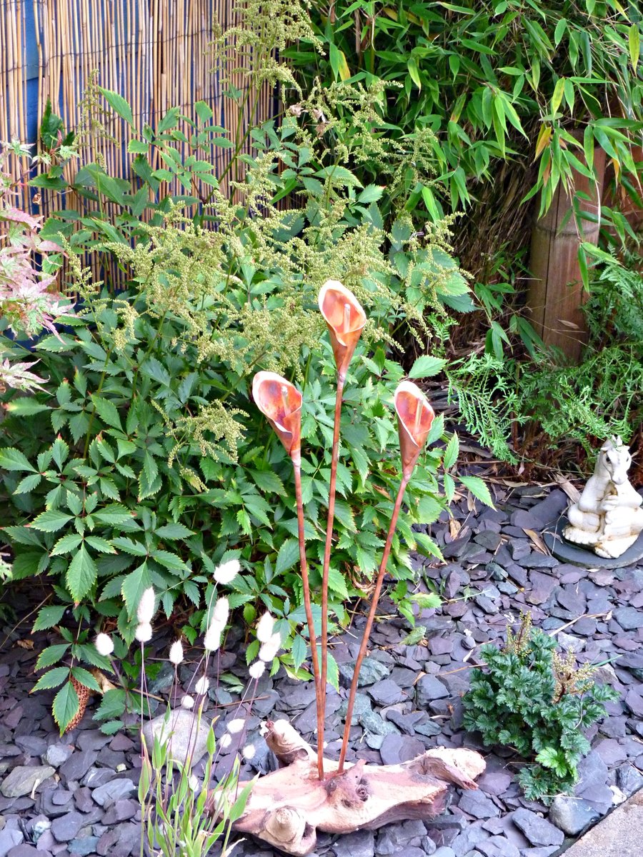 Copper calla lillies