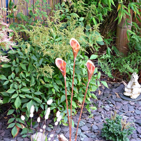 Copper calla lillies