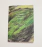 Landscapes of the Lizard Zine Volume One 
