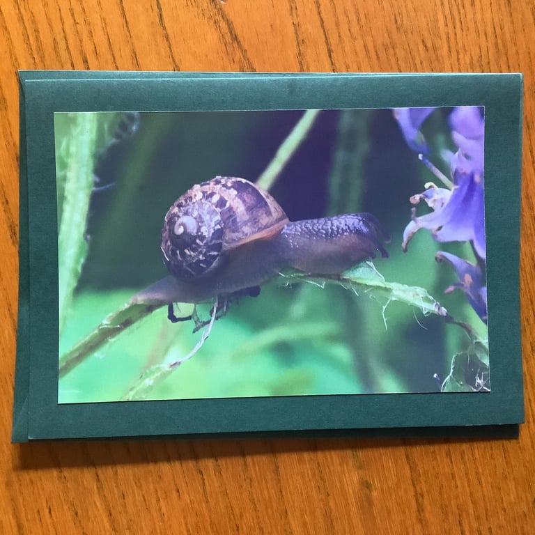 Handmade photo card of a snail and bluebell