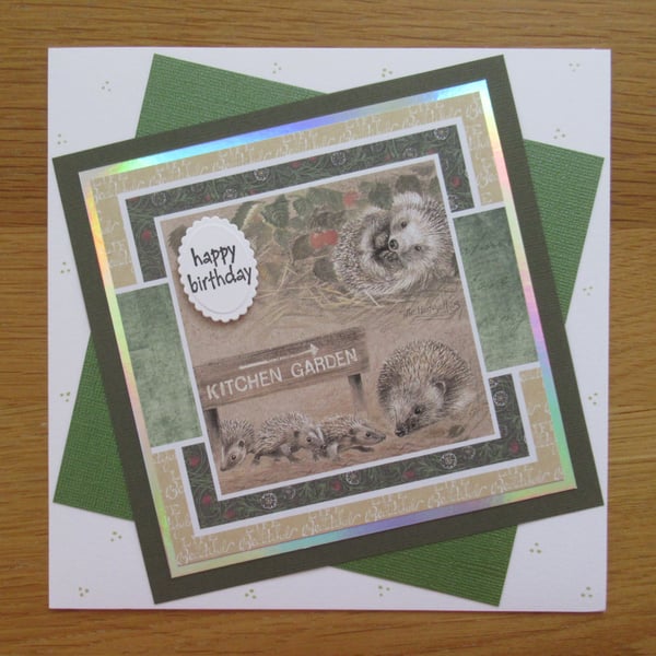 Hedgehogs - Birthday Card - 17x17cm