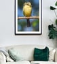 Young Blue Tit upright print - Image 2