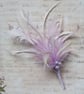 Pale Lilac Lavender & Ivory Regency Feather Sprig Headpiece Costume Pin