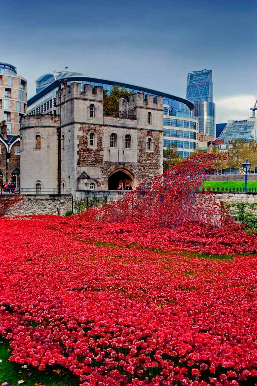 Tower of London Red Poppy Poppies Photograph Print