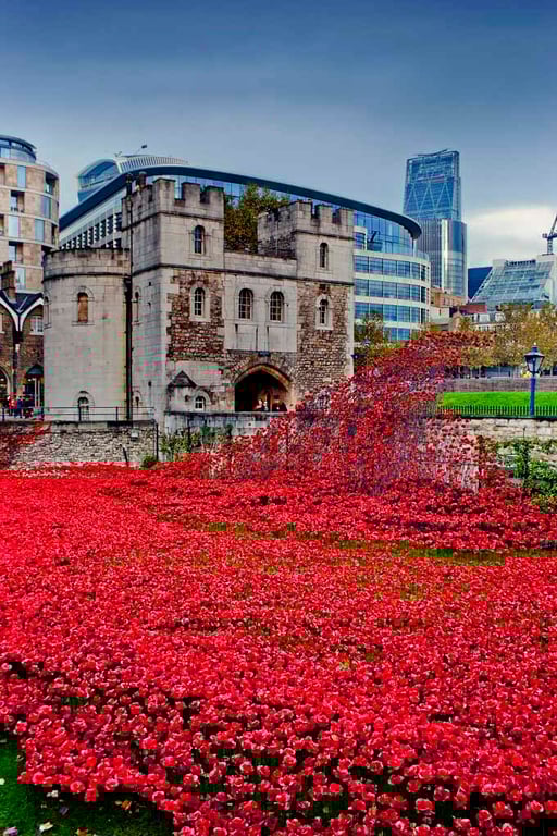 Tower of London Red Poppy Poppies Photograph Print
