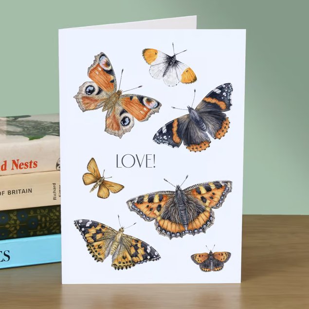 Butterfly Greetings Card - 5x7" blank, for birthday, anniversary or Valentines