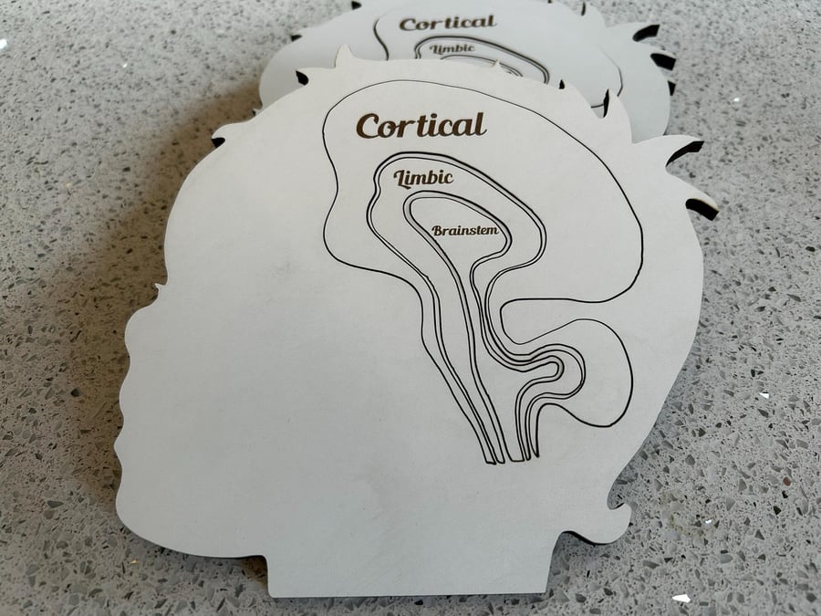 Brain Puzzle - Cortical Limbic and Brainstem Pieces - Useful Therapy Tool