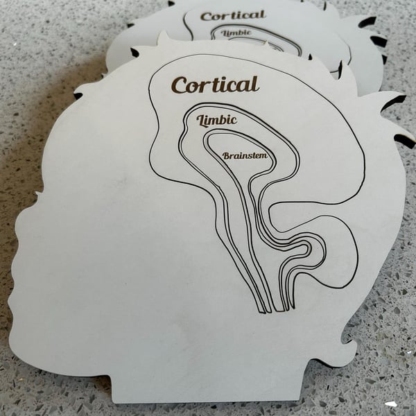 Brain Puzzle - Cortical Limbic and Brainstem Pieces - Useful Therapy Tool
