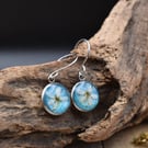 Blackthorn Flower Resin Earrings, Blue, 304 Stainless Steel, Made in Scotland