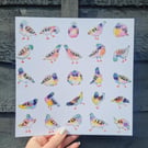 Quirky pigeons art print 