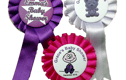Baby Shower & Reveal Parties
