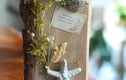 Vintage Finds - Seaside