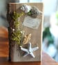 Welsh Oak Seaside Wall Plaque. Coastal Home Decor. Shells & Dried Flowers. 